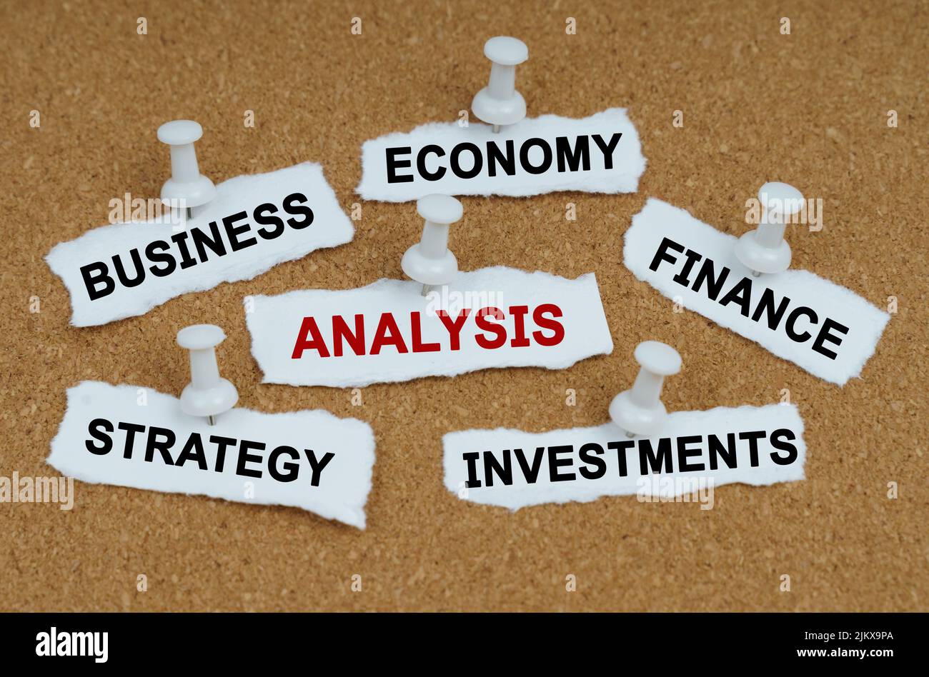 Concetto aziendale. Sulla tabella sono riportati i pezzi di carta con le iscrizioni - Business, Economia, Finanza e ANALISI Foto Stock