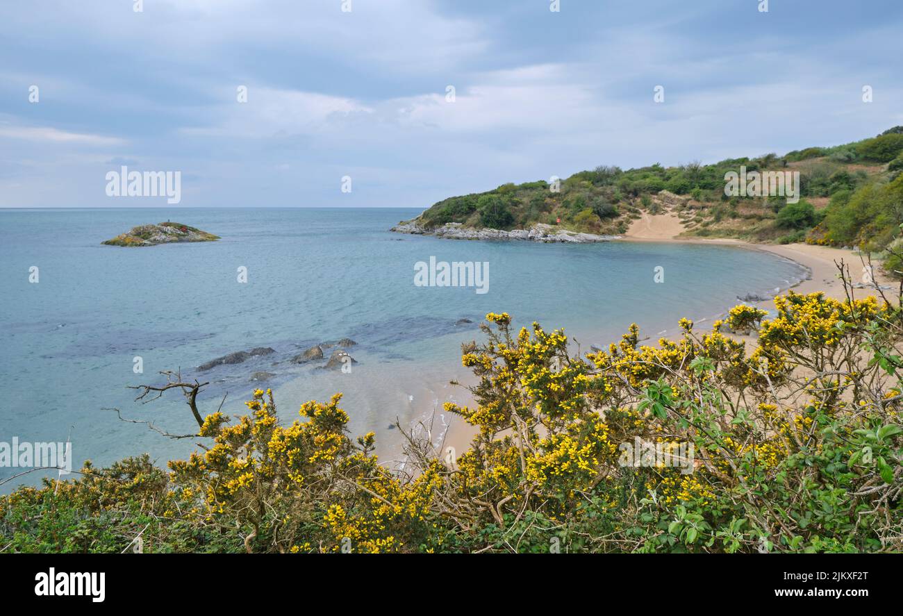 Una foto aerea della spiaggia di Borth y Gest circondata da fiori e cespugli a Porthmadog Foto Stock