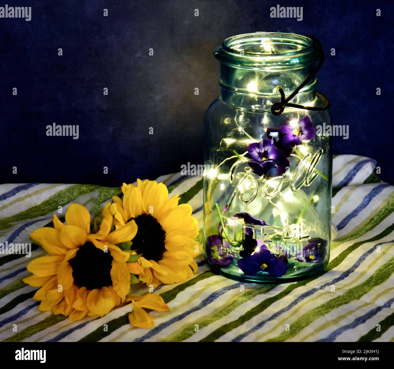 Un primo piano di girasoli e un vaso di vetro illuminato con pantie viola. Foto Stock