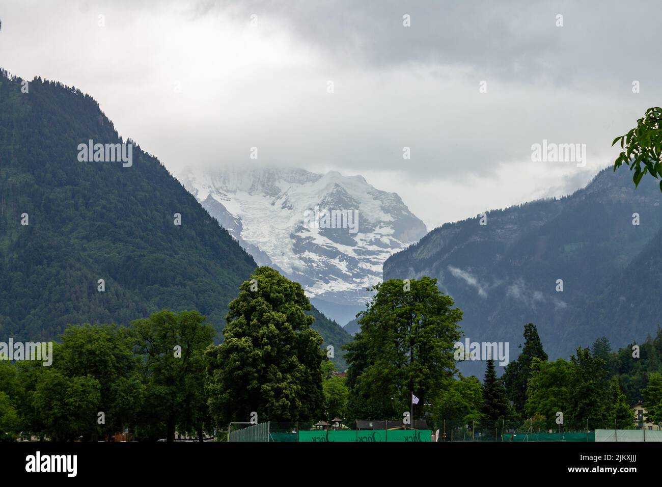 La bella vista degli alberi verdi contro le montagne e cielo nuvoloso. Jungfrau, Svizzera. Foto Stock