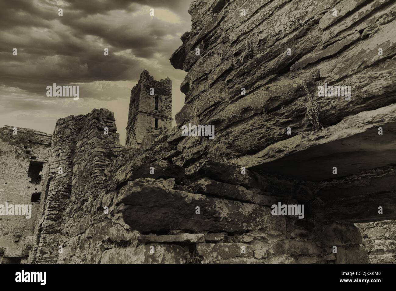 Abbazia di Timoleague, Cork Occidentale, Irlanda Foto Stock