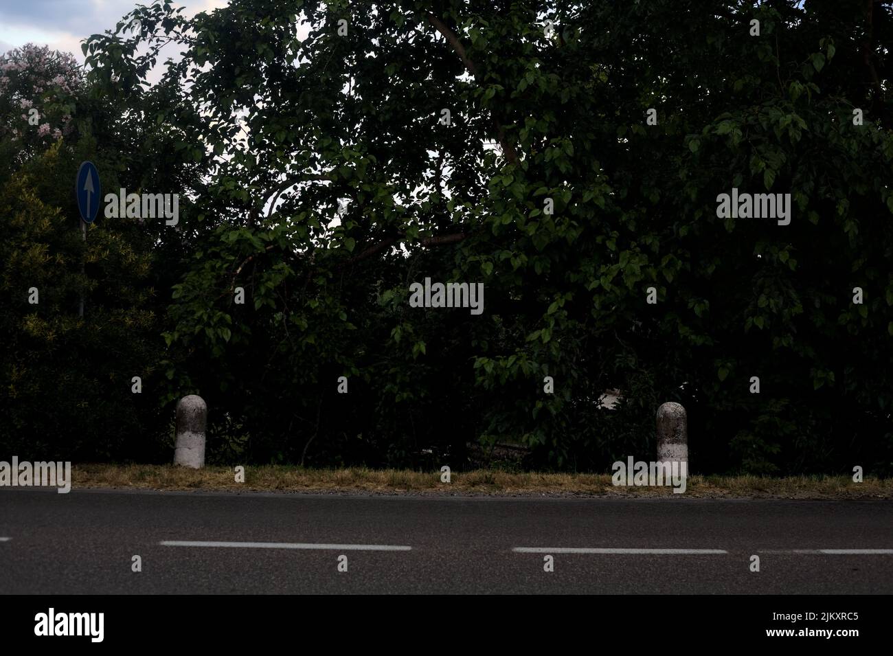 Strada in campagna al tramonto con alberi al suo bordo Foto Stock