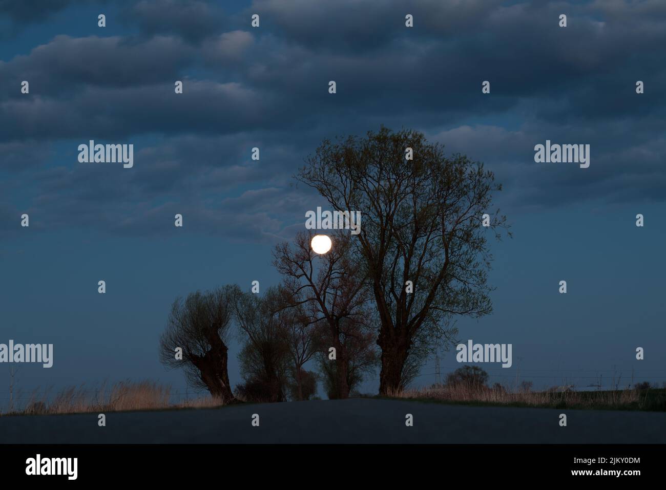 Scenario misterioso, atmosfera scura. Copertina del libro Foto Stock