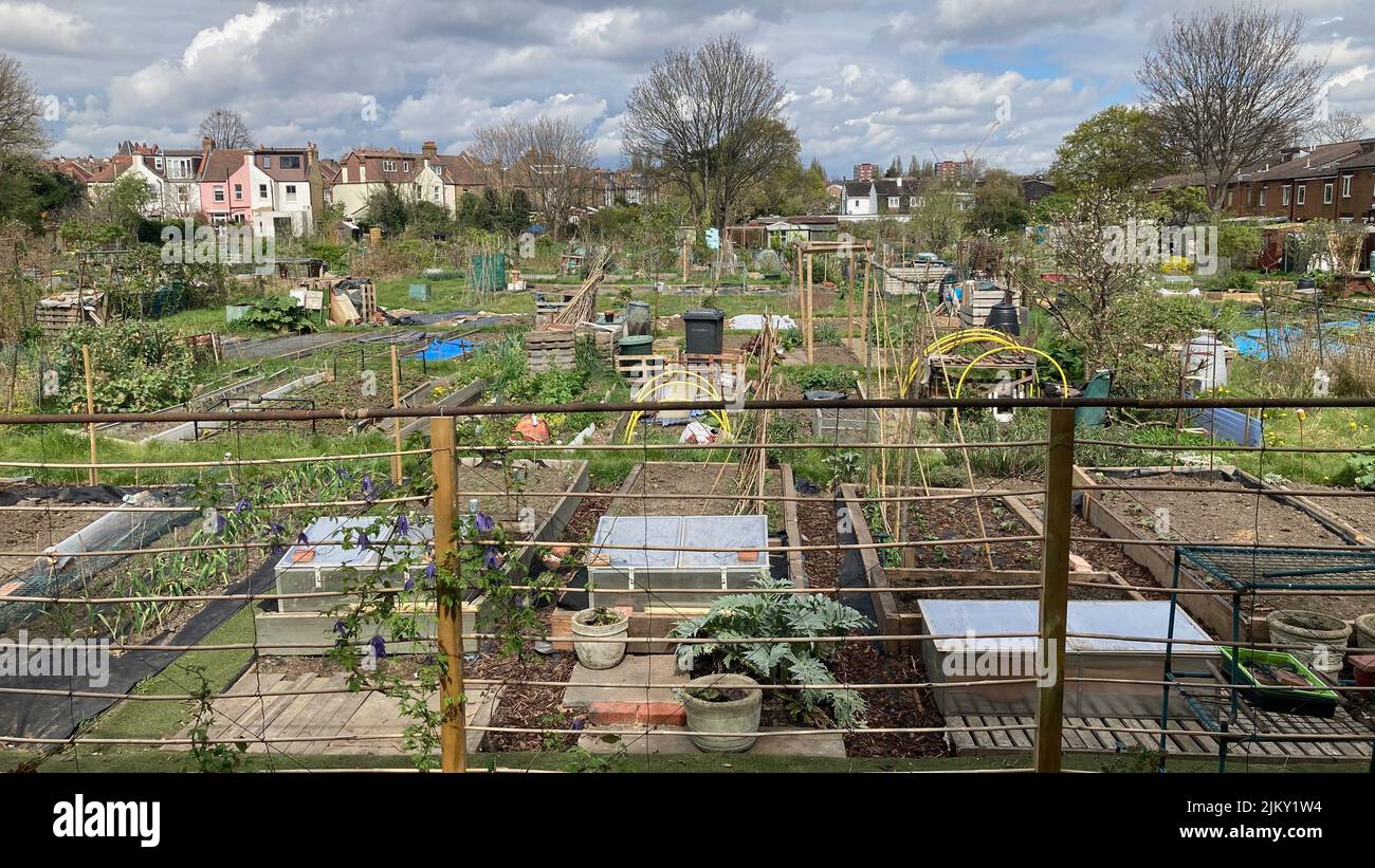 Una vista di varie collezioni di giardini di assegnazione a Londra, Regno Unito Foto Stock