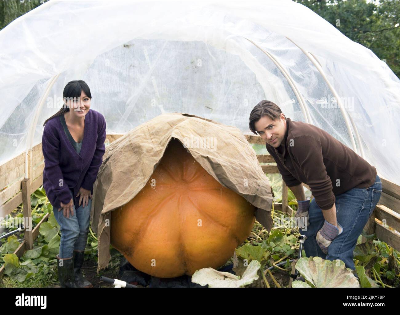 DOHERTY, SMITH, CRESCERE IL GRANDE, 2010 Foto Stock DOHERTY, SMITH, CRESCERE IL GRANDE, 2010 Foto Stock
