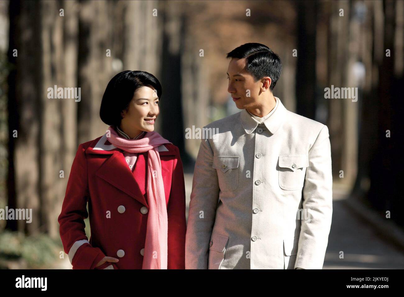 HUANG,TO, LA LEGGENDA È NATA: IP MAN, 2010 Foto Stock