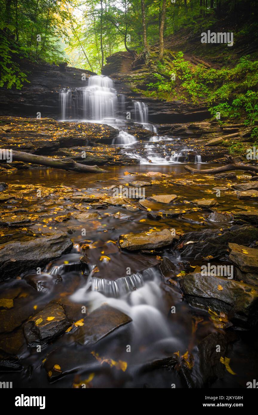 Le cascate panoramiche nel Ricketts Glen state Park in Pennsylvania Foto Stock