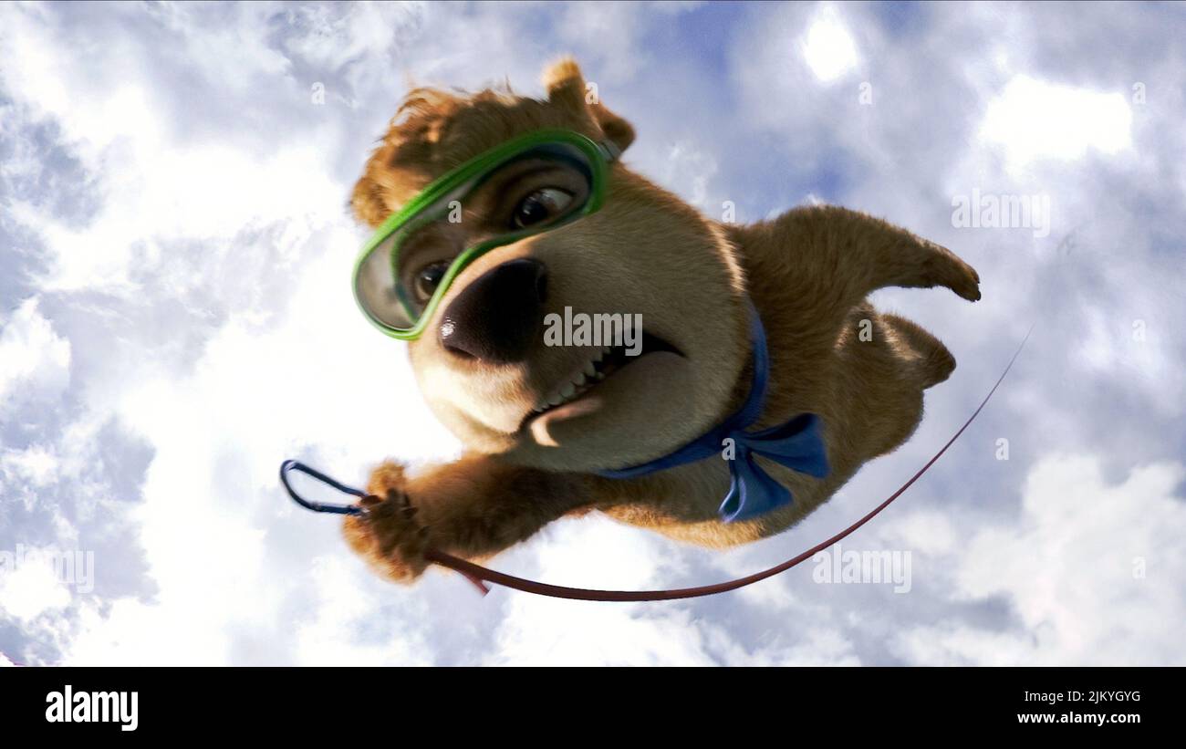 BOO BOO, Orso Yogi, 2010 Foto Stock