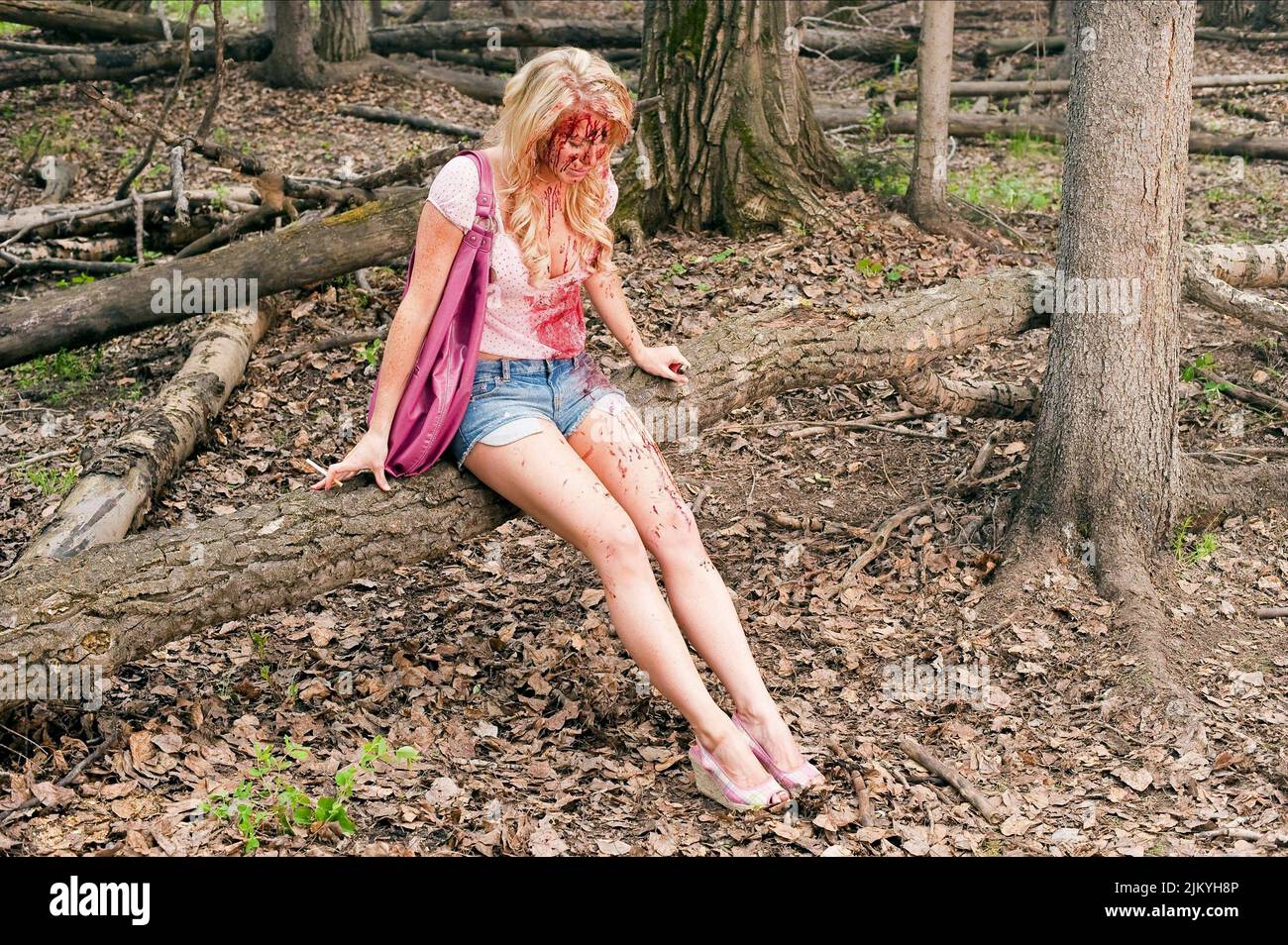 CHELAN SIMMONS, TUCKER E DALE VS EVIL, 2010 Foto Stock