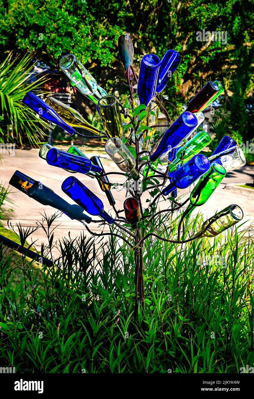 Un albero della bottiglia è rappresentato, 31 luglio 2022, a Ocean Springs, Mississippi. Gli alberi di bottiglia sono una vista comune nel sud americano. Foto Stock