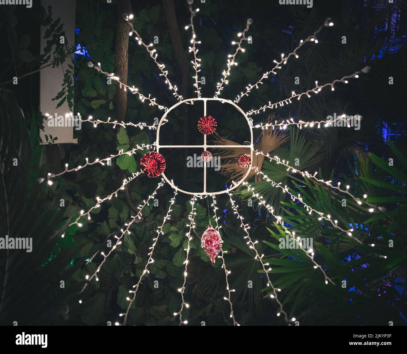 Un basso angolo di ripresa delle luci di Natale legato ai rami dell'albero con palline rosse Foto Stock