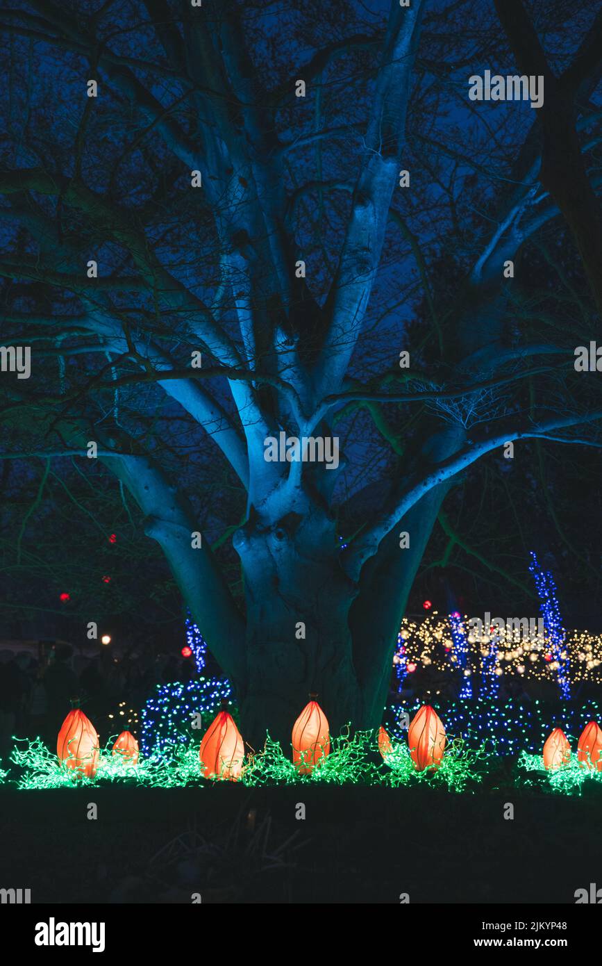 Uno scatto verticale delle luci vibranti e luminose sotto l'albero durante la stagione di festa di notte Foto Stock