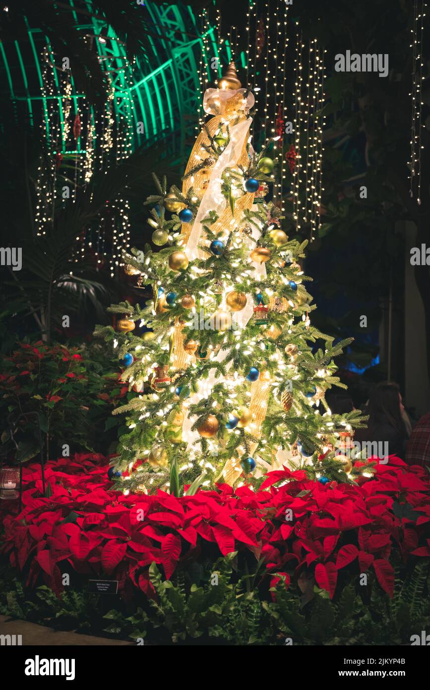 Uno scatto verticale di un albero di Natale con luci e ornamenti luminosi di notte Foto Stock