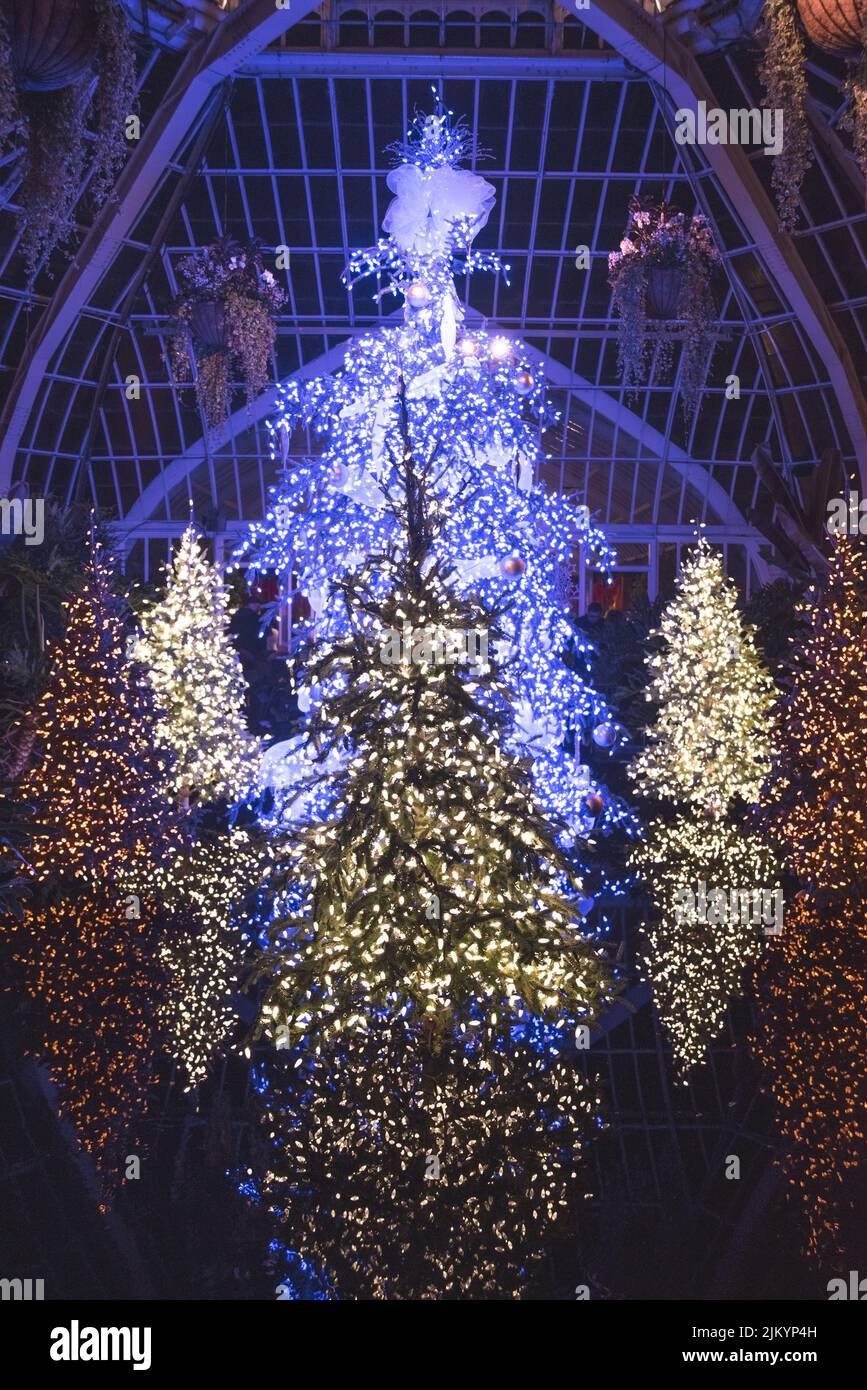 Uno scatto verticale di alberi decorati con luci di Natale luminose di notte Foto Stock