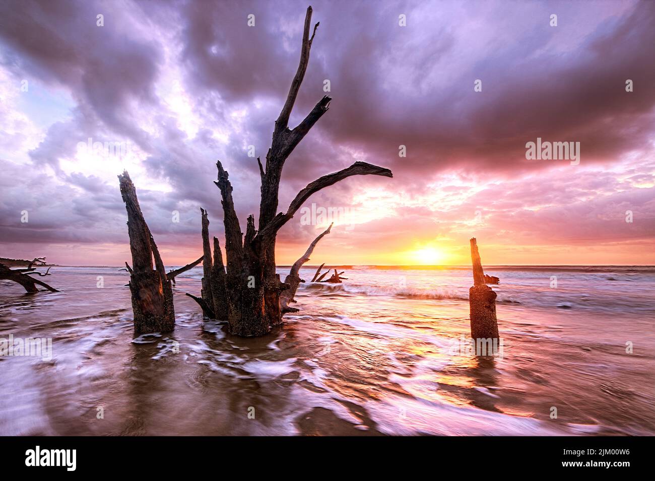 Una vista mozzafiato degli alberi morti nell'oceano di alta marea a Sapelo Island, Georgia, durante un'alba Foto Stock