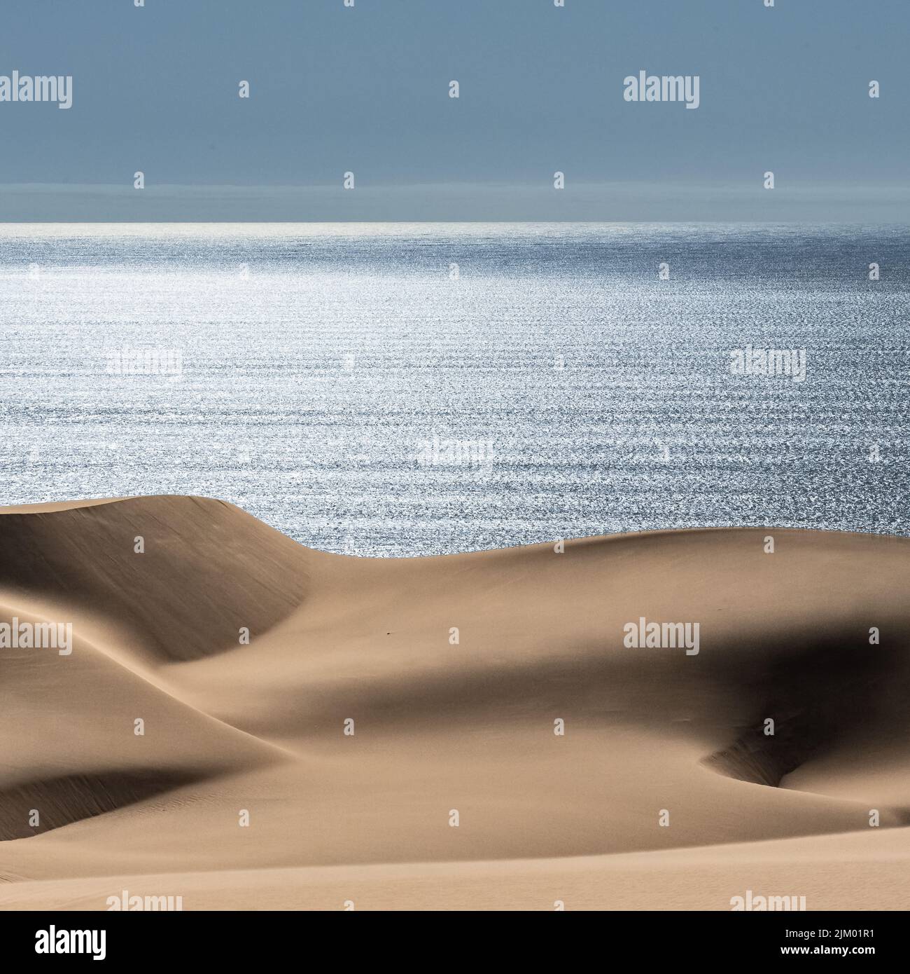 Namibia, il deserto del Namib, paesaggio di dune gialle che cadono nel mare, il vento che soffia sulla sabbia Foto Stock