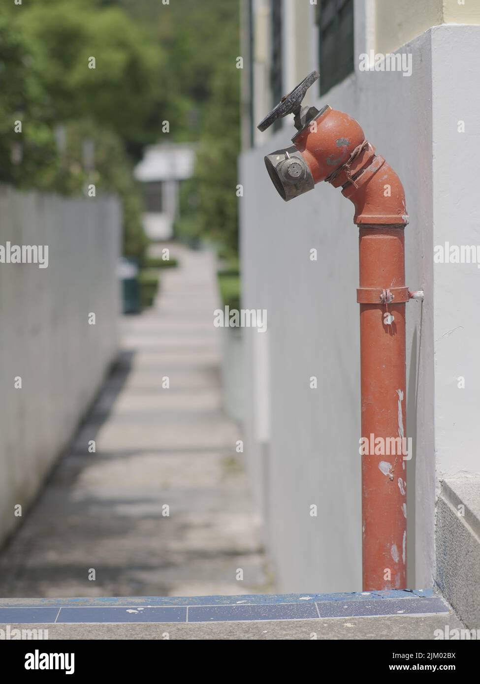 Un colpo verticale di un tubo dell'acqua dell'idrante del fuoco rosso vicino alla strada Foto Stock