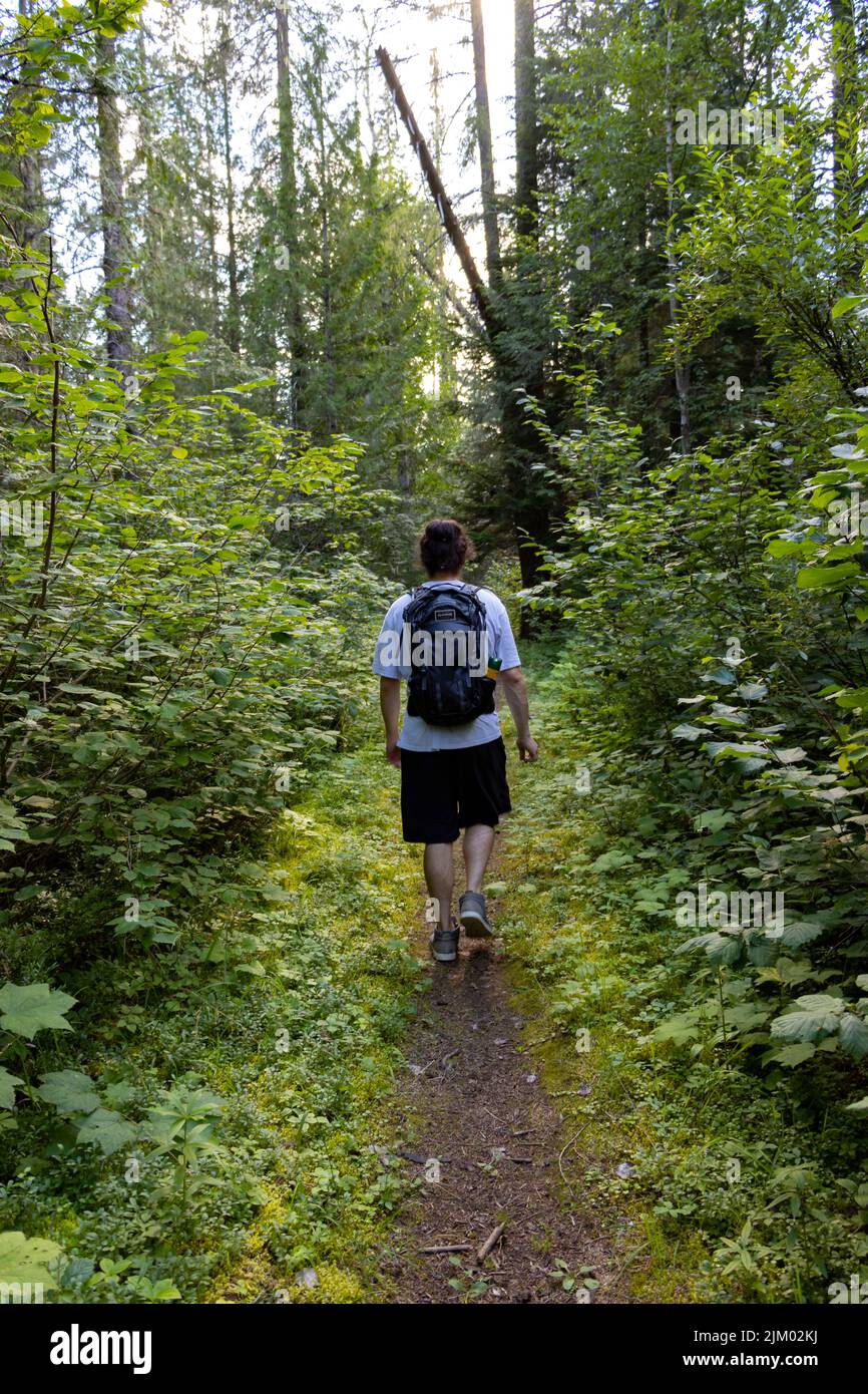 uomo che cammina lungo il sentiero attraverso gli alberi spessi Foto Stock