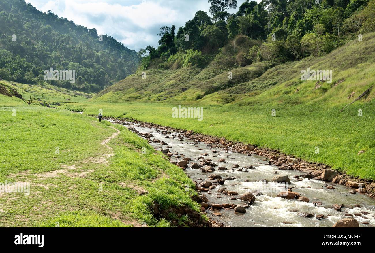 La vista panoramica della valle di Chong lom, fresca e abbondante nel parco nazionale una famosa attrazione turistica a Nakorn Noyok, Thailandia. Foto Stock