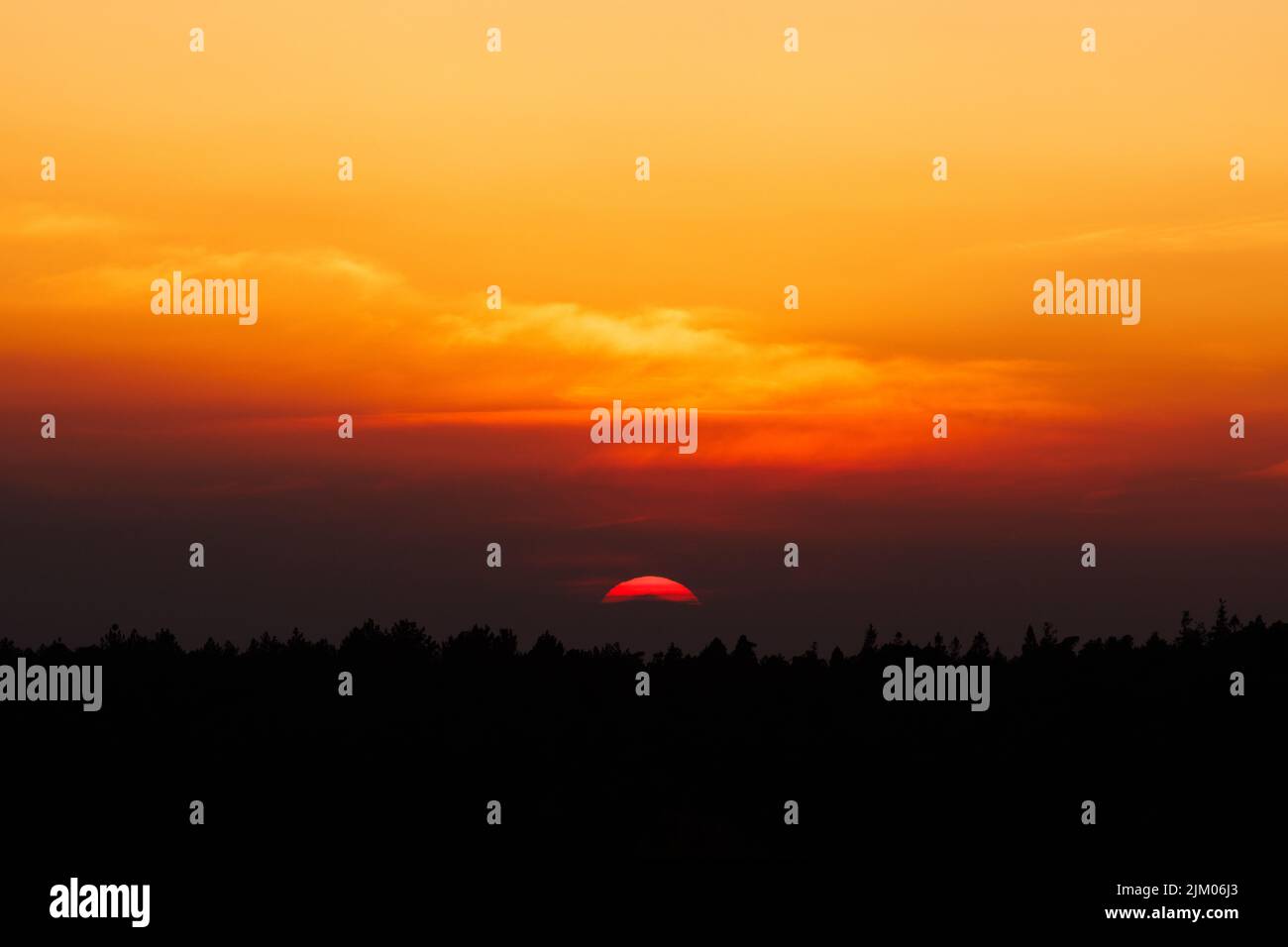 Una vista distante di un bellissimo tramonto rossastro con silhouette di alberi in primo piano in Hampshire, Regno Unito Foto Stock