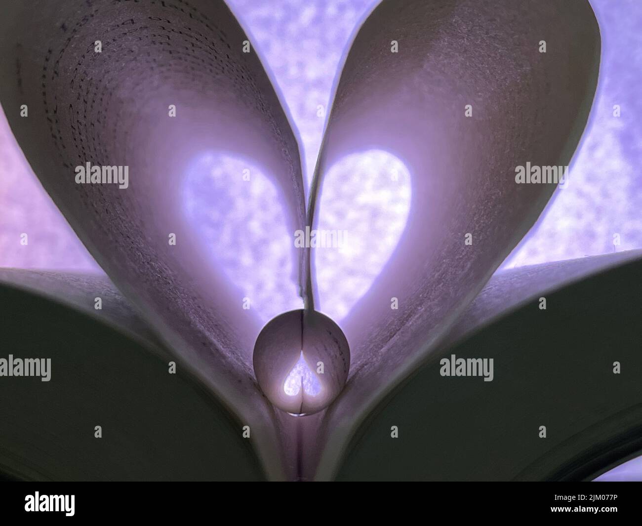 Un primo piano di un libro aperto con pagine piegate a forma di cuore con una sfera di cristallo all'interno Foto Stock