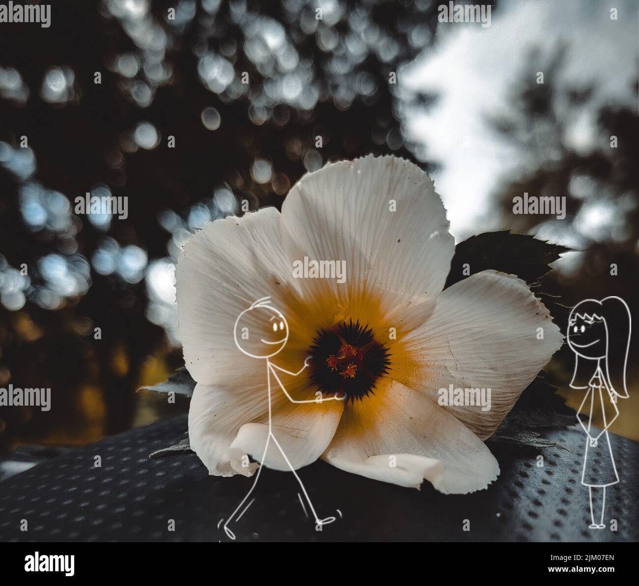 Una simpatica illustrazione di animazione di un ragazzo che regge un vero fiore per una ragazza Foto Stock