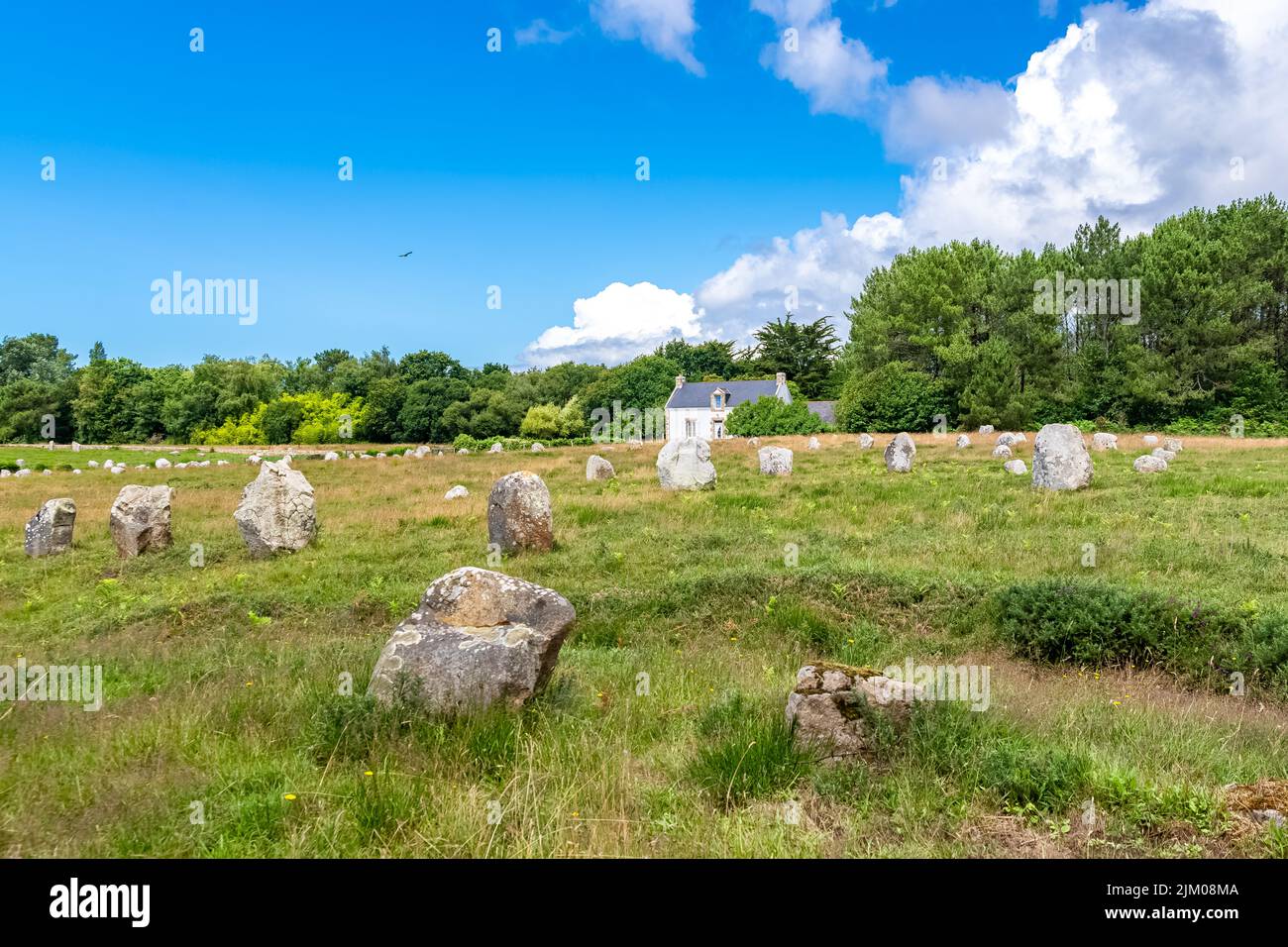 Carnac in Bretagna, un campo di pietre, allineamento di Menhir Foto Stock
