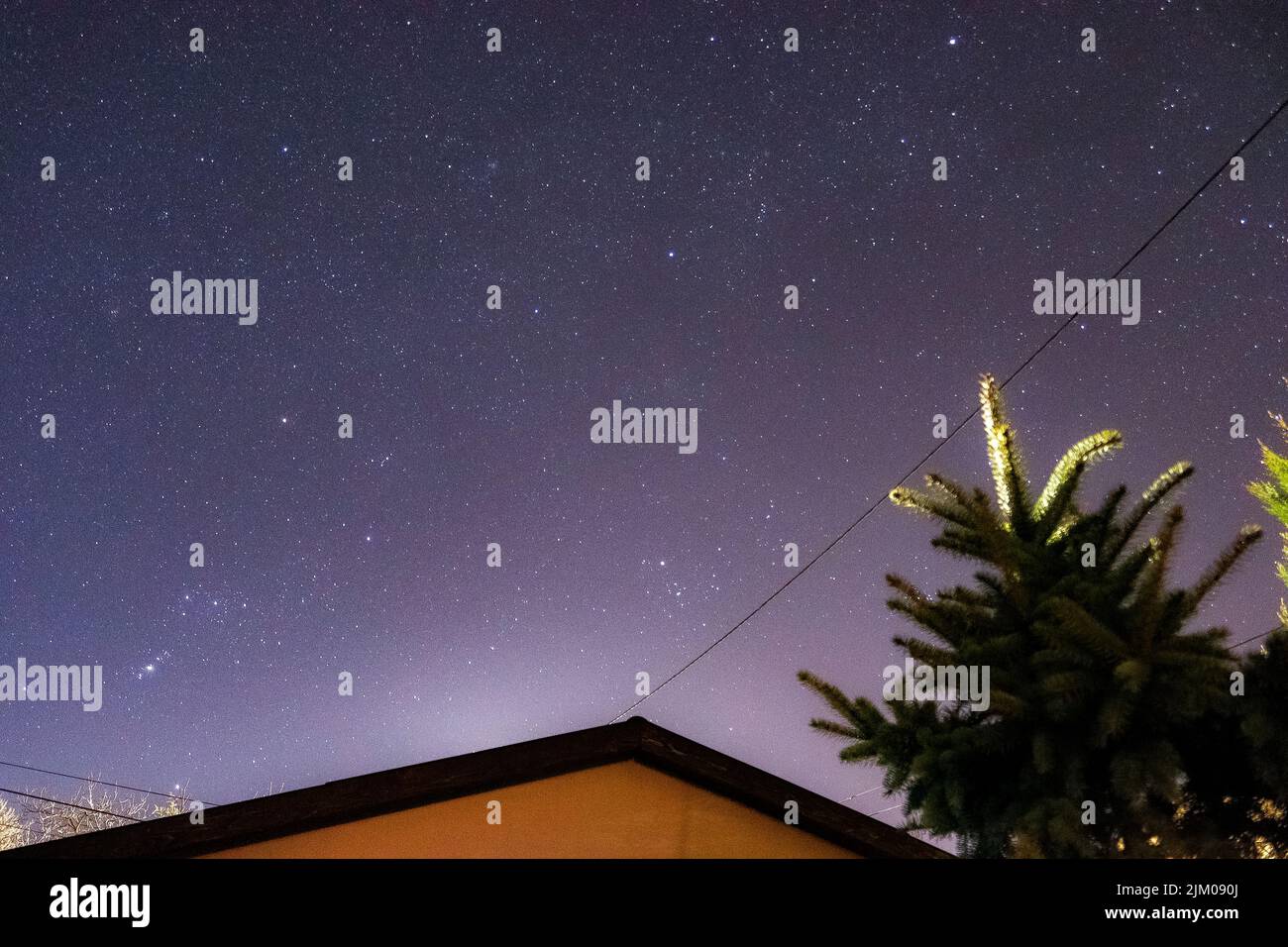 Un basso angolo ripresa di una casa in legno nella foresta nella notte stellata Foto Stock