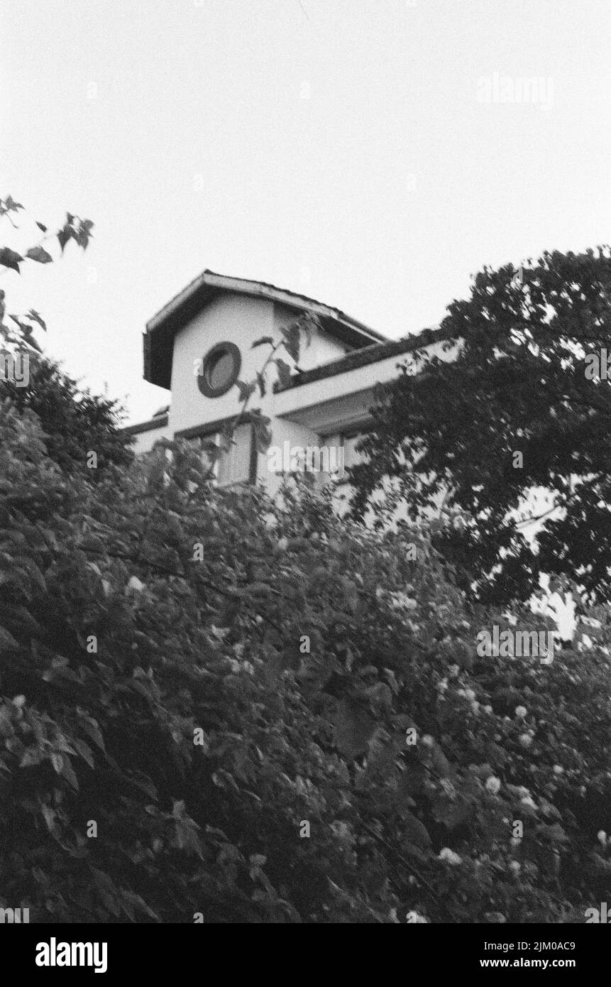 Immagine verticale in scala di grigi di alberi con un edificio sullo sfondo Foto Stock