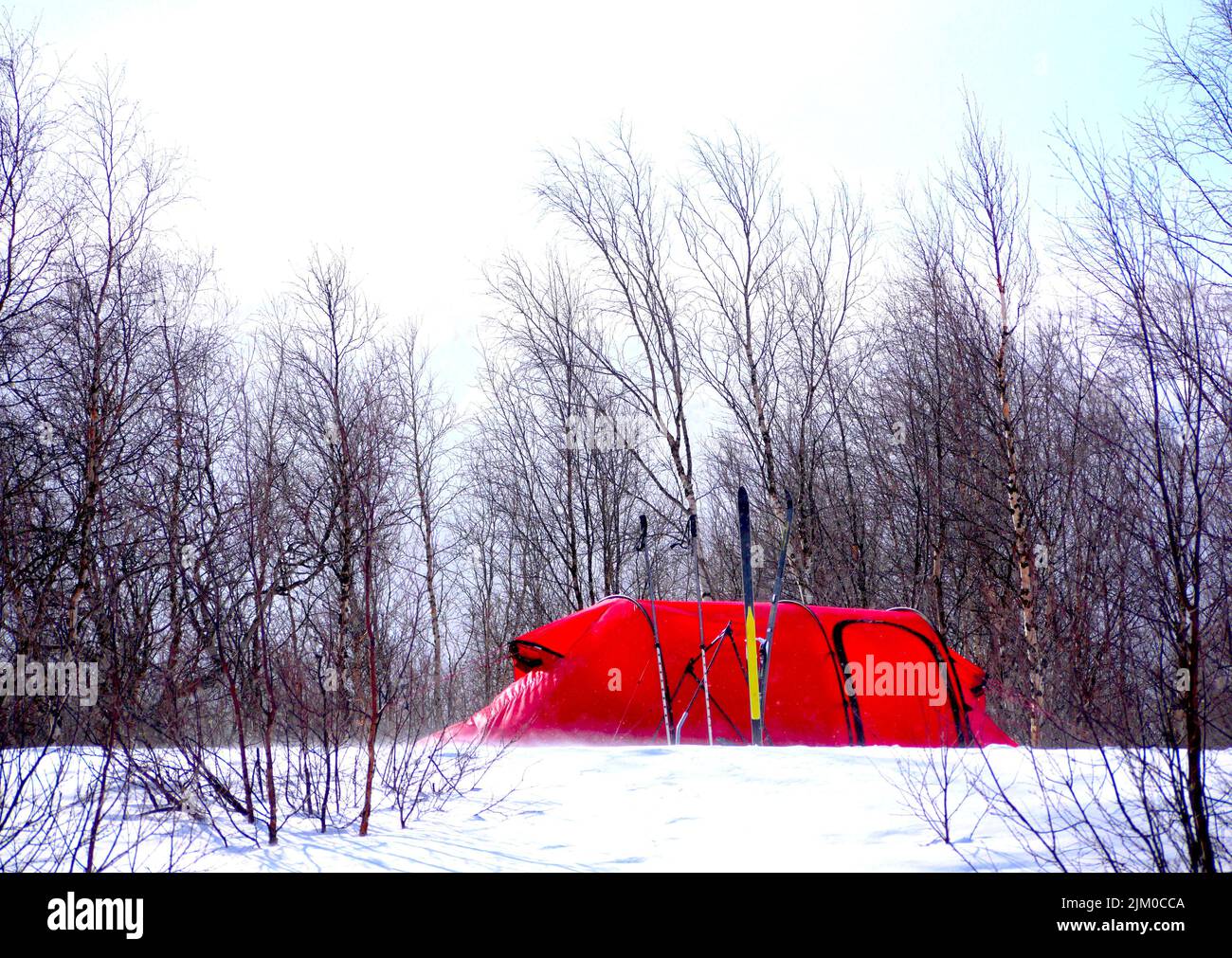 tenda rossa in neve e alberi per escursioni invernali Foto Stock