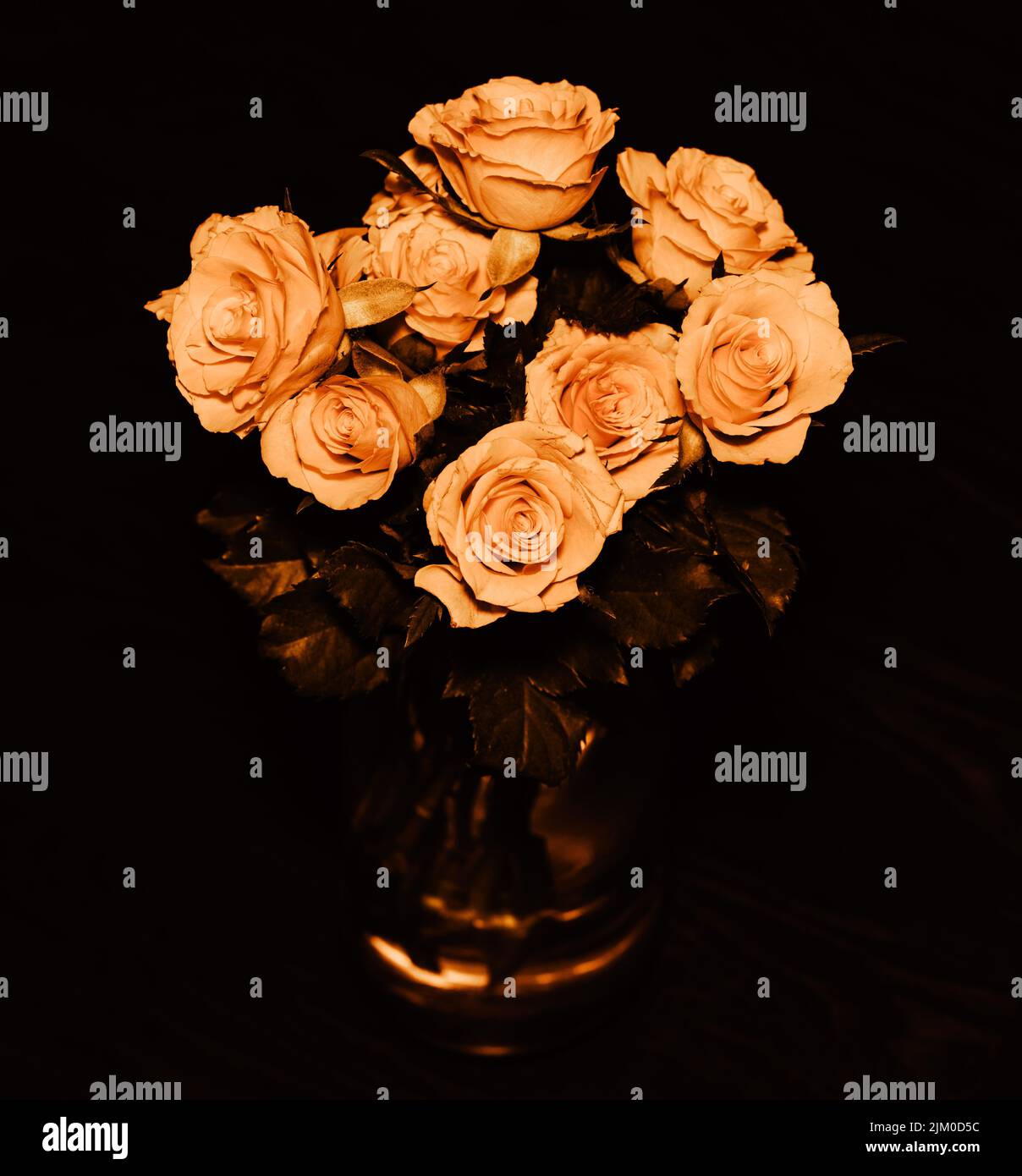 Primo piano verticale di un bouquet di rose dorate da giardino in vaso su fondo nero Foto Stock