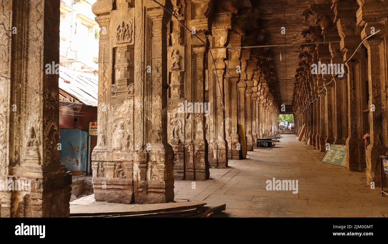 Corridoio con pilastri intagliati di Pudhu Mandapam, Meenakshi Amman Tempio, Madurai, Tamilnadu, India. Foto Stock