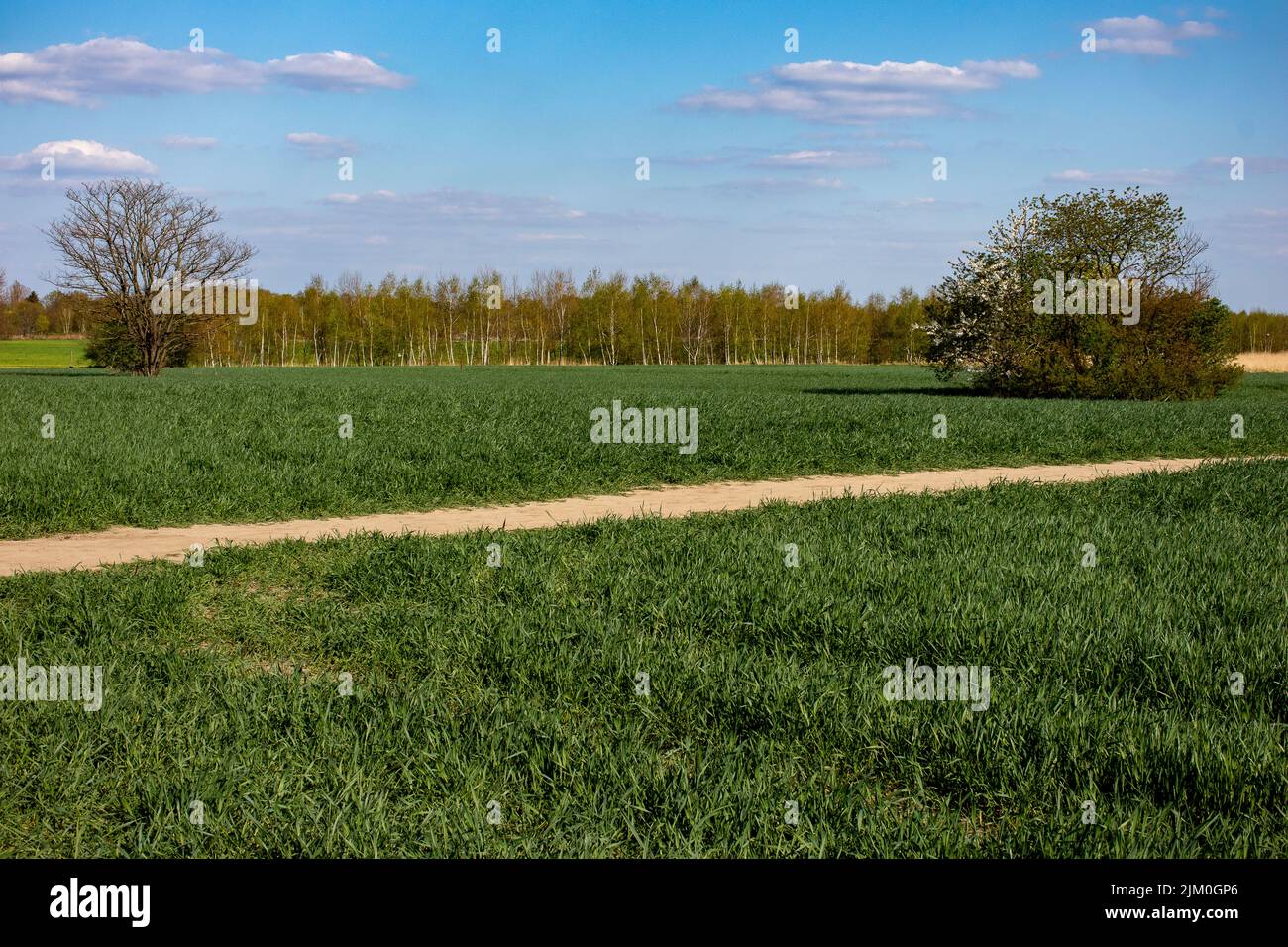 Un sobborgo della località Gropiusstadt a Berlino Foto Stock