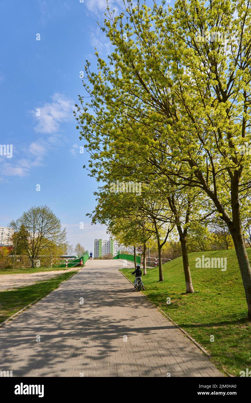 Uno scatto verticale del percorso con un bambino in bicicletta nel parco di Poznan, Polonia Foto Stock