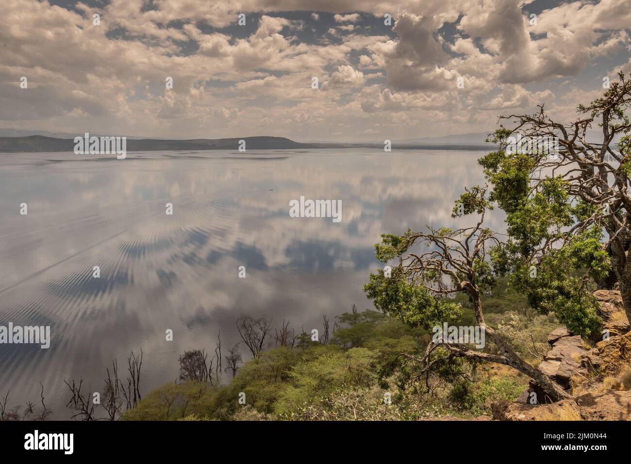 Parco Nazionale del Lago Nakuru, Kenya, Africa. Il livello dell'acqua del lago è aumentato molto negli ultimi anni per motivi geologici. Foto Stock
