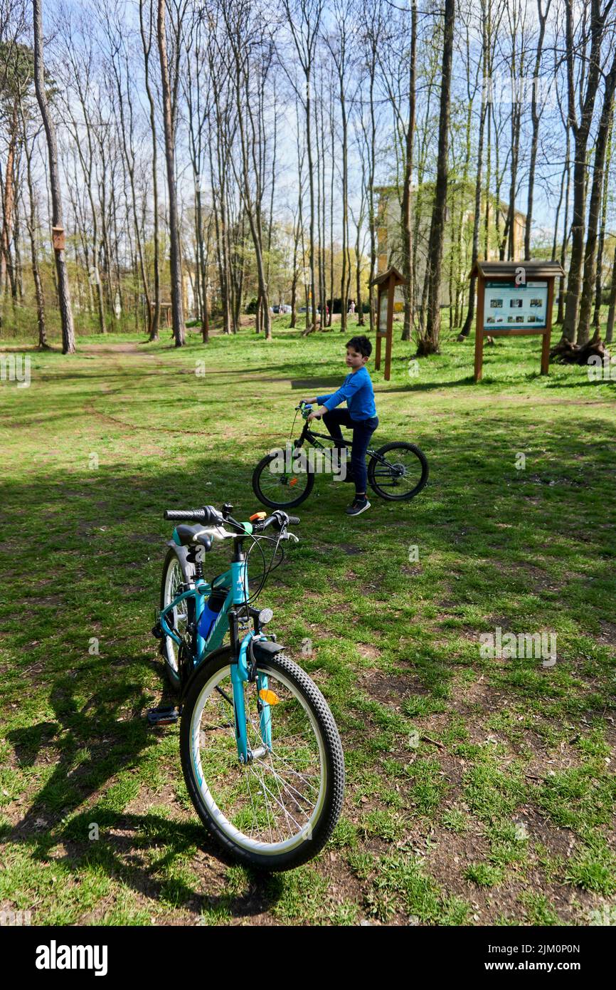 Una vista delle biciclette per i bambini in piedi su erba verde e un bambino in bicicletta in un parco in una giornata di sole Foto Stock