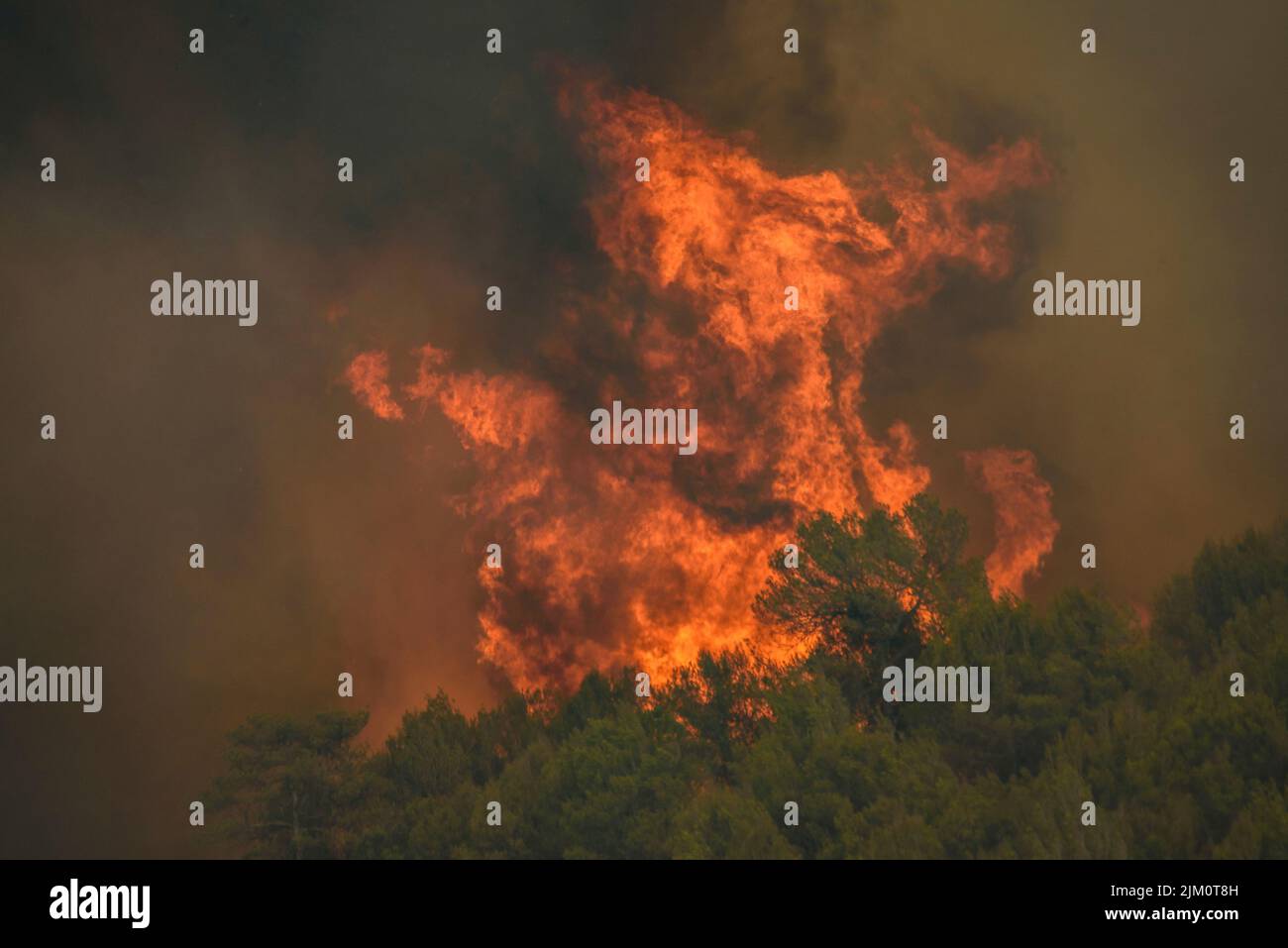 Wildfire di El Pont de Vilomara, il 17 luglio 2022, che bruciò 1.743 ettari di vegetazione (Bages, Barcellona, Catalogna, Spagna) Foto Stock