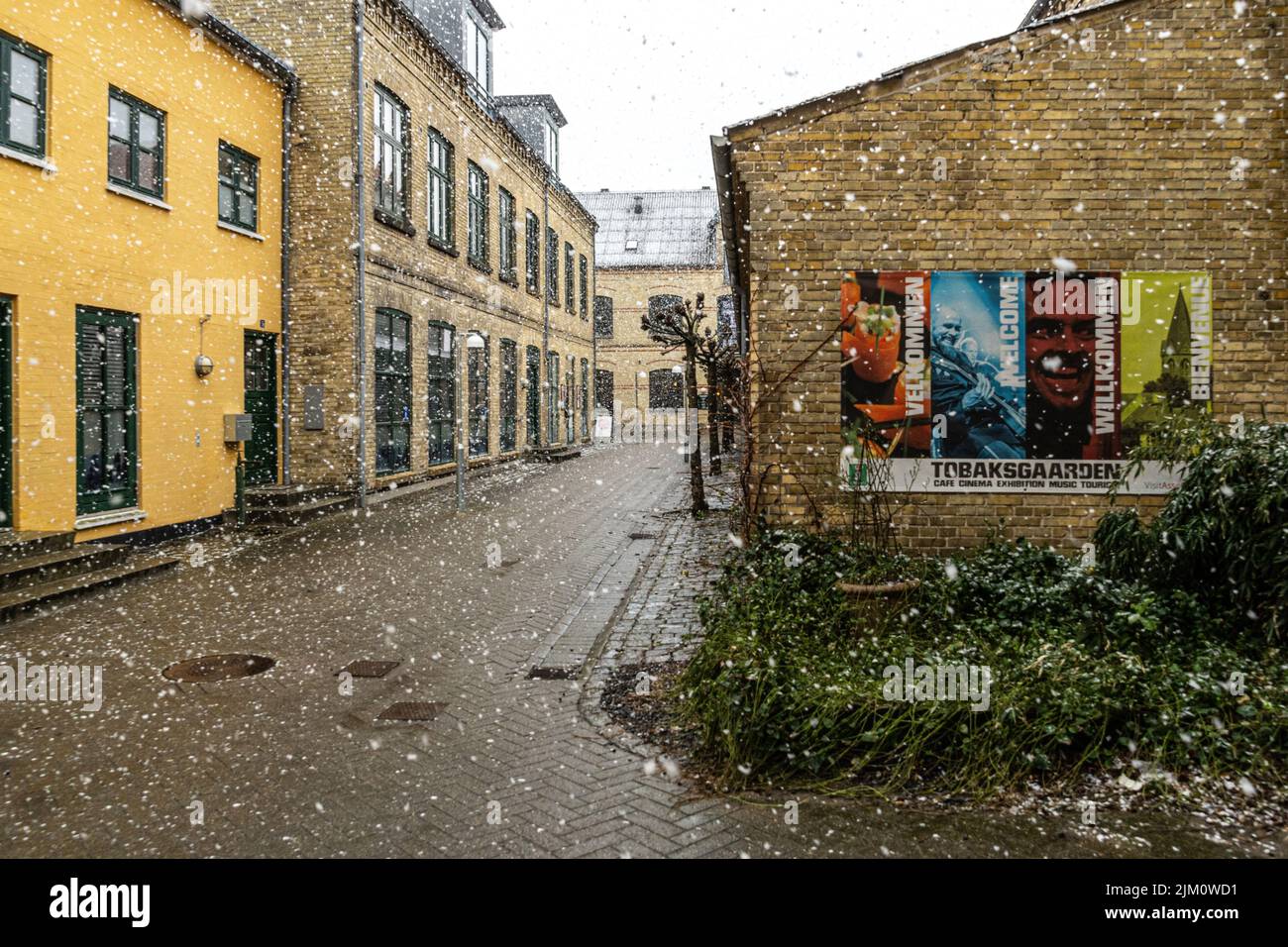 Il luogo culturale e d'incontro Tobaksgården ad Assens sotto una nevicata primaverile. Assens, Isola di Fyn, Danimarca, Europa Foto Stock