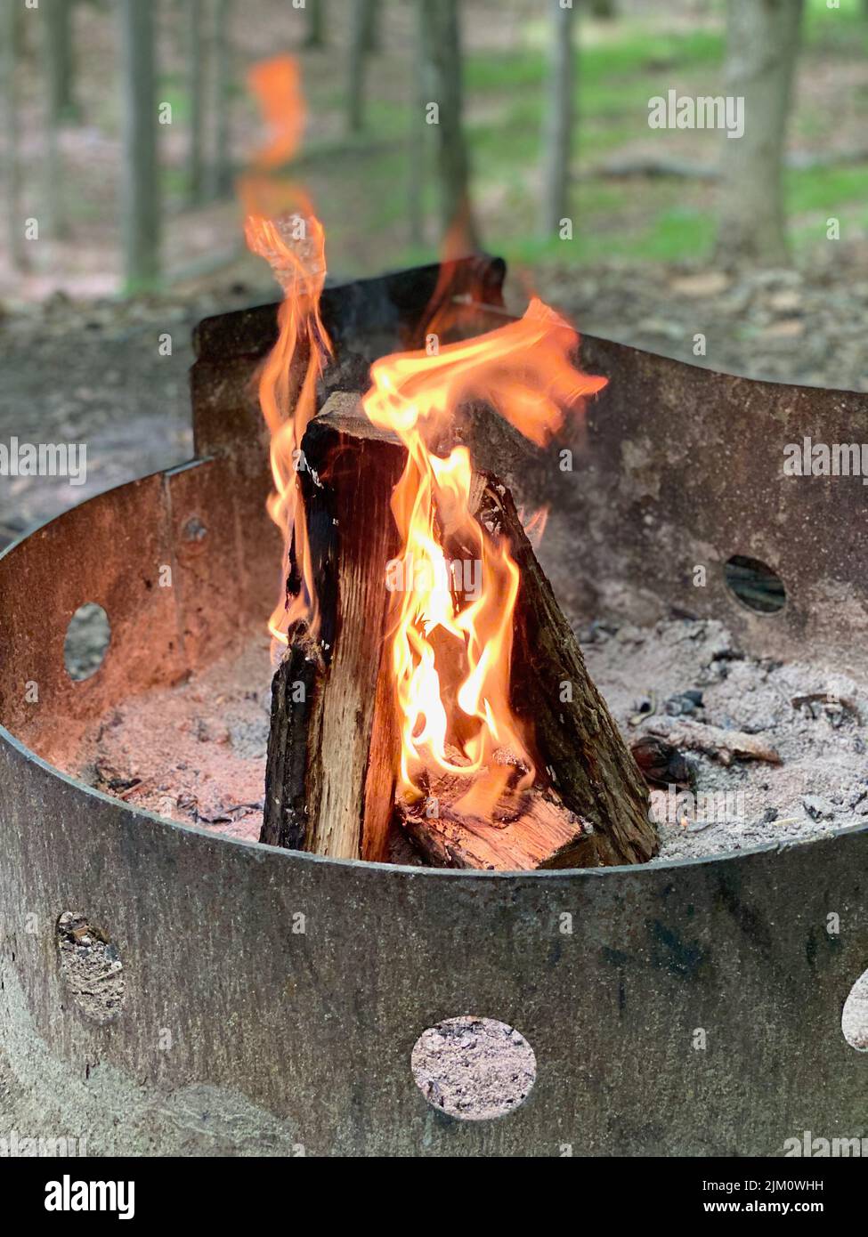 Un primo piano verticale di un incendio che brucia in un contenitore di acciaio in un parco Foto Stock