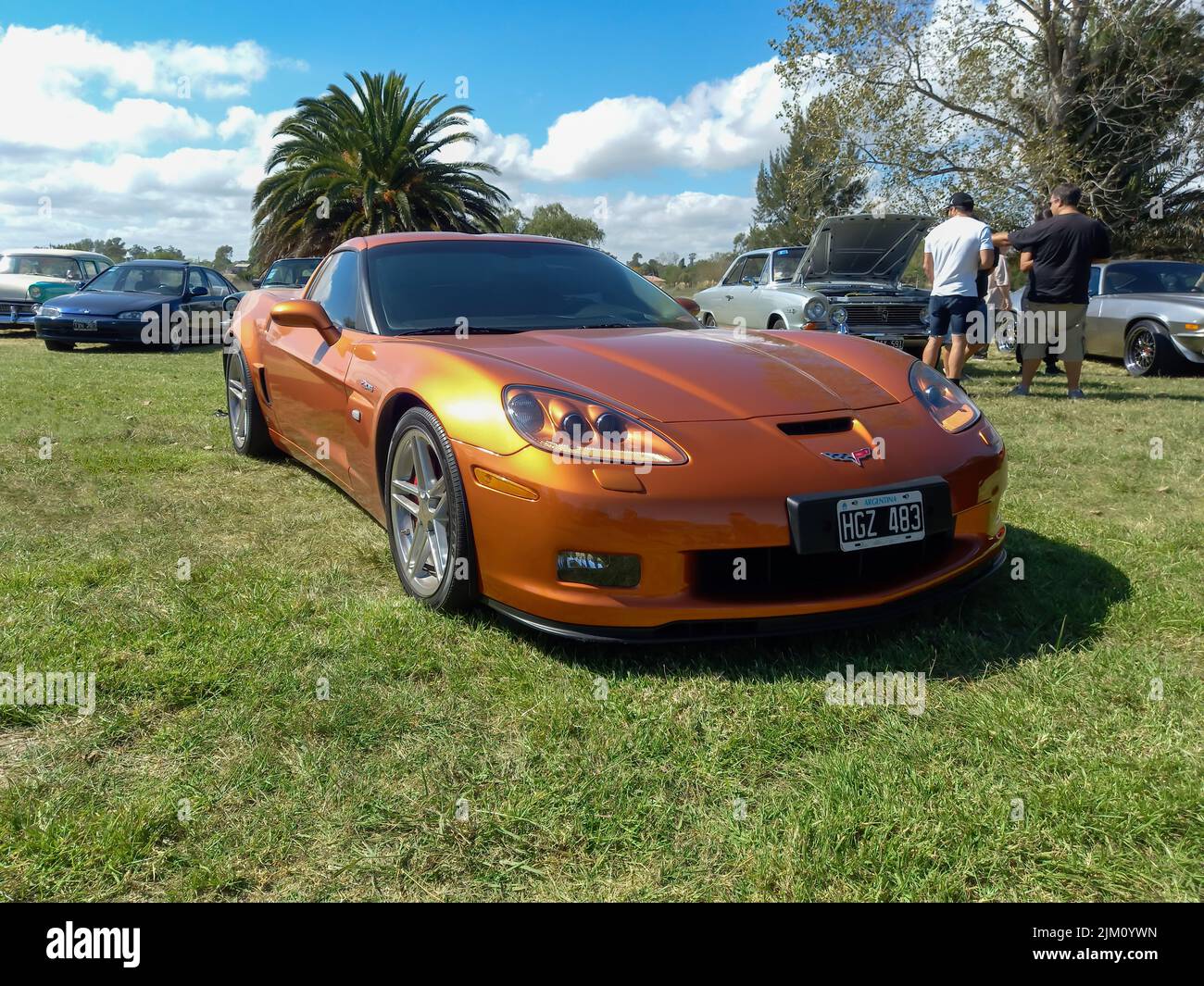 Chascomus, Argentina - Apr 9, 2022: Old Golden Metallic sport Chevrolet Corvette Z06 coupé 2006 da GM in campagna. Erba naturale e alberi arretrati Foto Stock