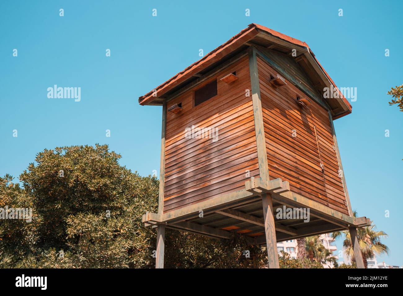Colombaia in legno nel parco cittadino. Prendersi cura di animali e uccelli Foto Stock