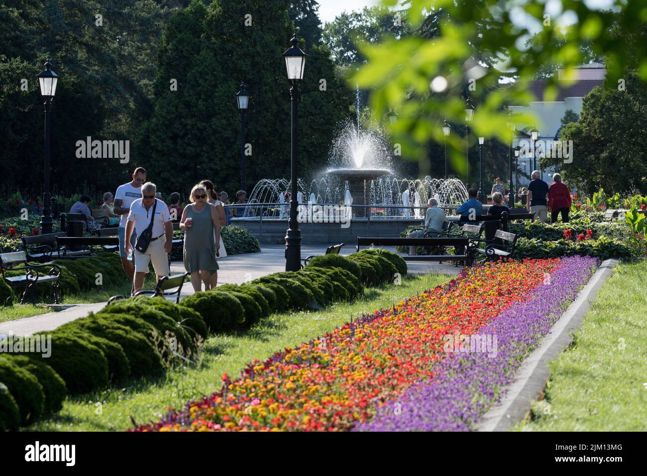Tappeto di fiori in giardino pubblico a Ciechocinek, Polonia © Wojciech Strozyk / Alamy Stock Photo Foto Stock