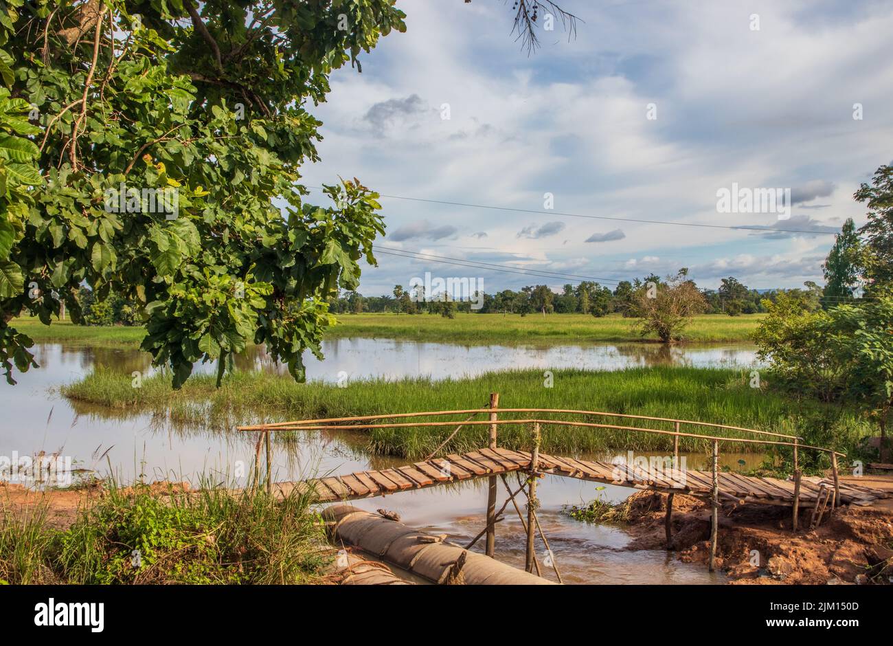 Un bellissimo paesaggio con campi di riso e alberi da qualche parte in Isaan, nella parte orientale della Thailandia Sud-Est asiatico Foto Stock