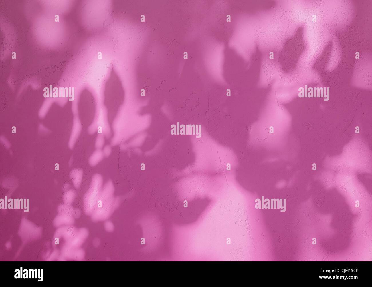 Ombre delle foglie su pareti in stucco di colore rosa o fucsia. Foto Stock