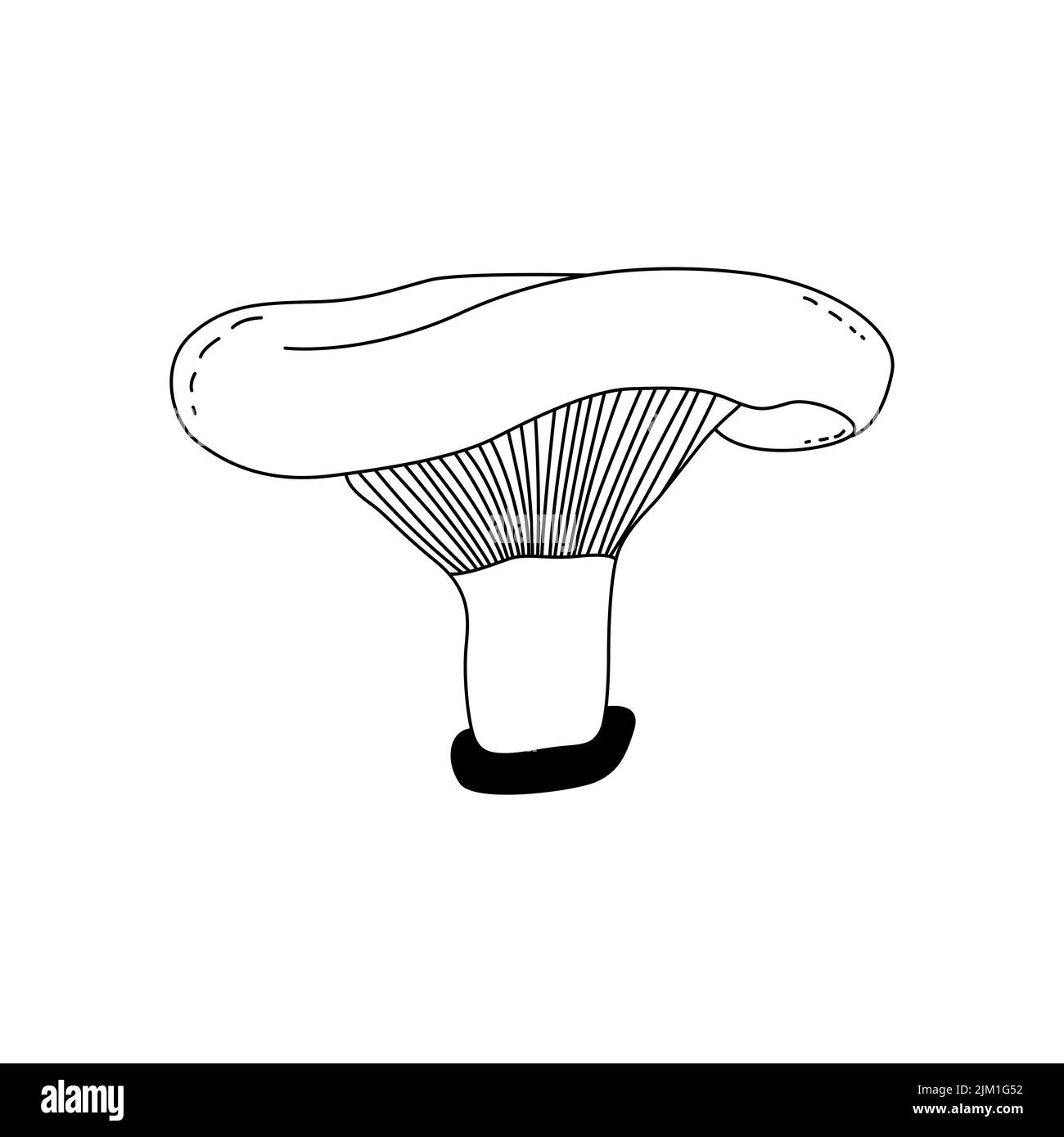 Icona della linea vettoriale per il fungo. Pulsante bianco isolato. Vintage. Illustrazione vettoriale. Illustrazione Vettoriale