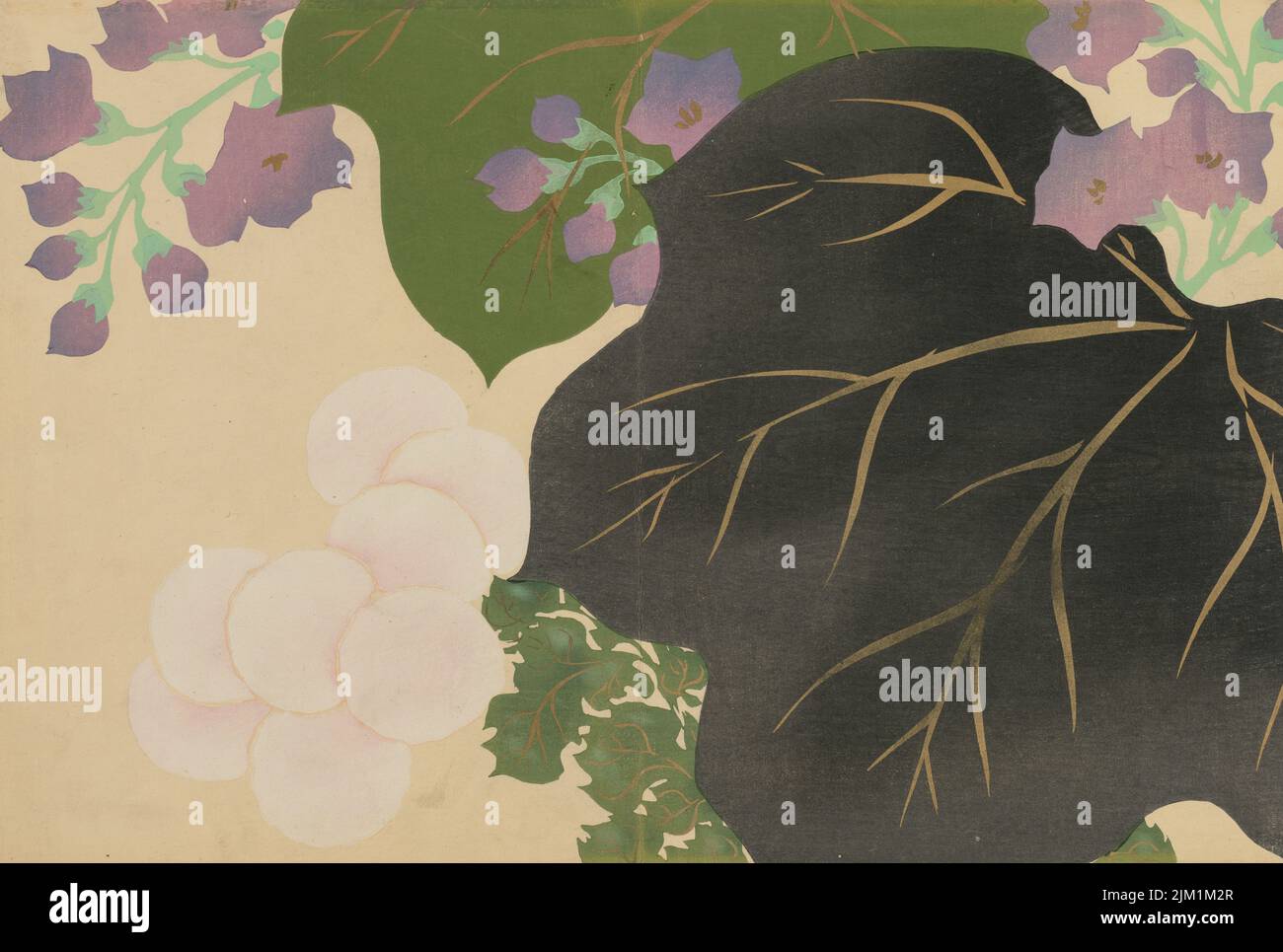 KIKU, Kiri (Chrysanthemum e Paulownia). Dalla serie 'Un mondo delle cose (Momoyogusa)'. Museo: COLLEZIONE PRIVATA. Autore: KAMISAKA SEKKA. Foto Stock