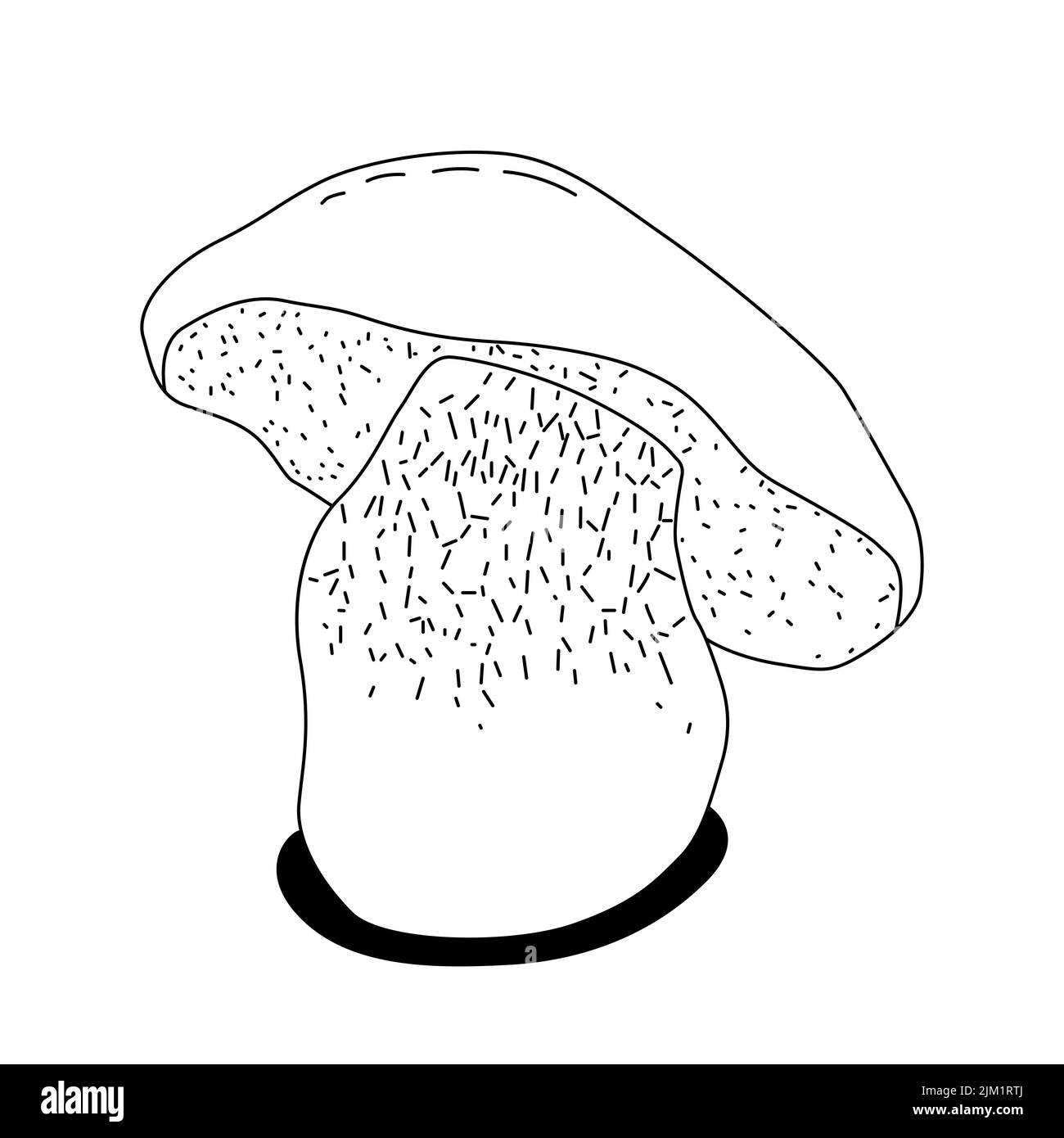 Icona della linea vettoriale per il fungo. Pulsante bianco isolato. Vintage. Illustrazione vettoriale. Illustrazione Vettoriale