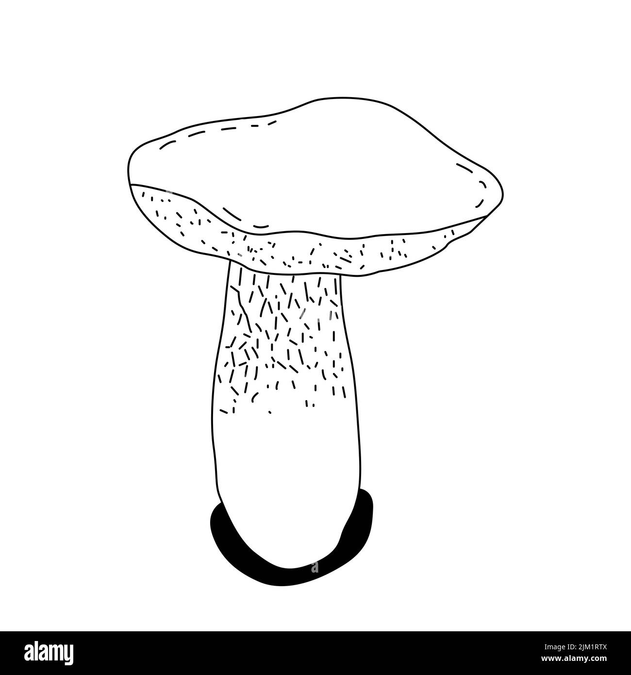 Icona della linea vettoriale per il fungo. Pulsante bianco isolato. Vintage. Illustrazione vettoriale. Illustrazione Vettoriale