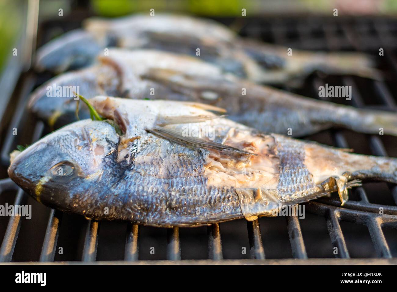Orata di mare dorado pesce posto sulla griglia. Pesce fresco con erbe e limone. Barbecue estivo Foto Stock
