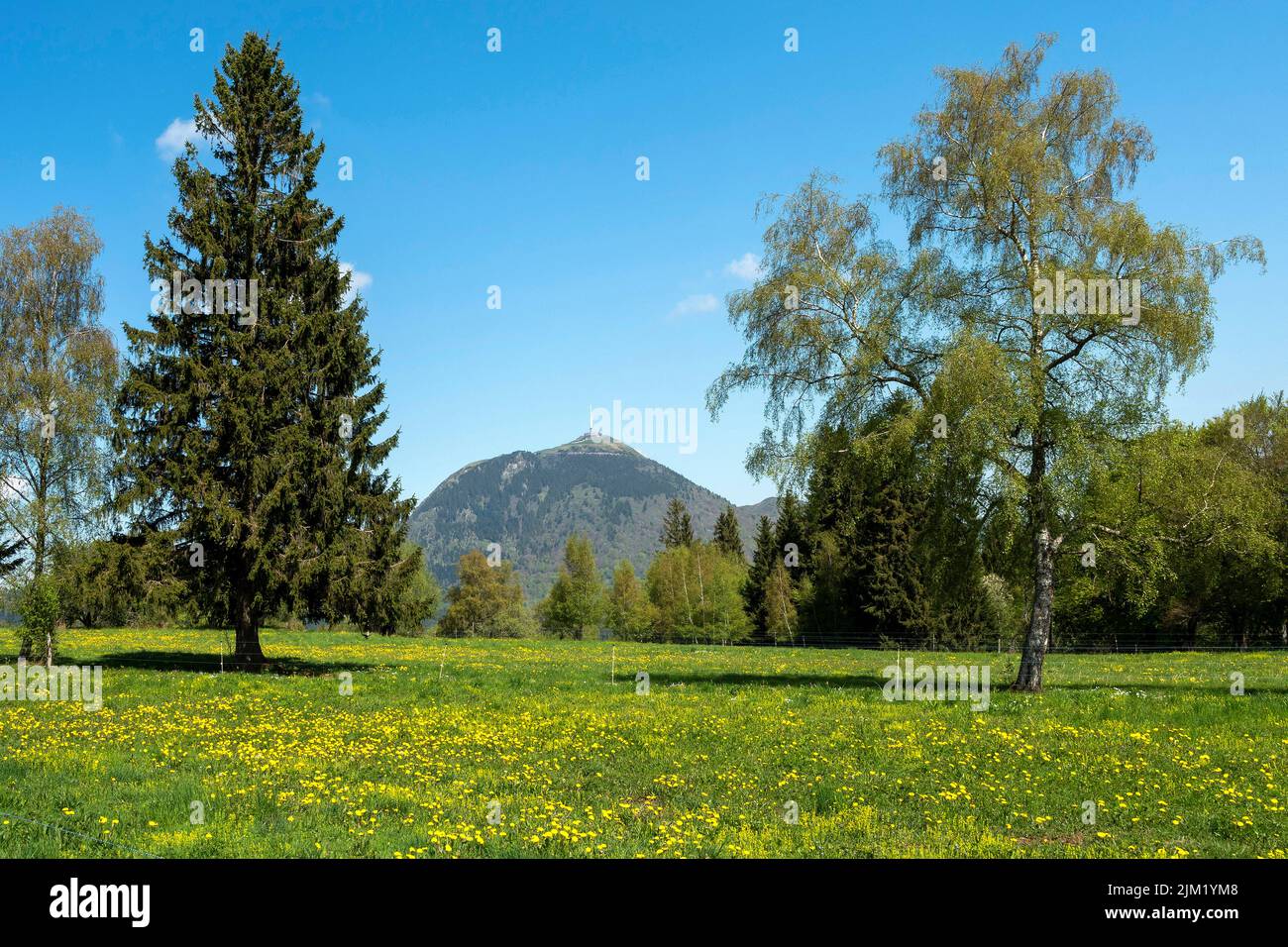 Vulcano Puy de Dome. Parco regionale naturale di Volcans d'Auvergne, Puy de Dome, Auvergne, Francia Foto Stock